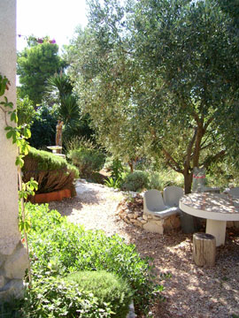 our garden