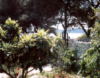 view from the terrace